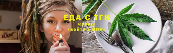 индика Карпинск