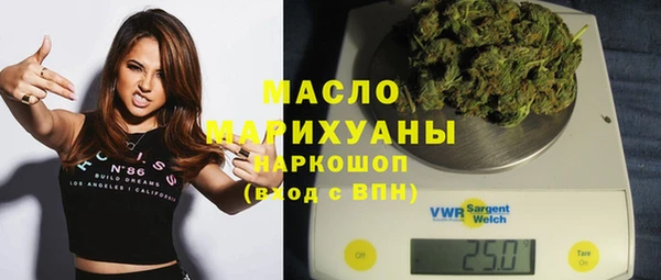 индика Карпинск