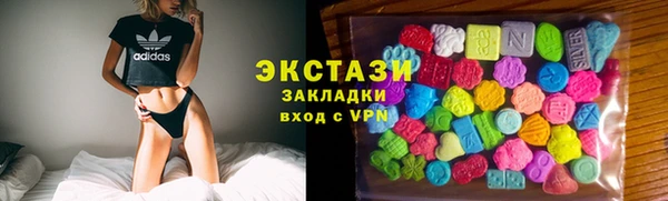 индика Карпинск