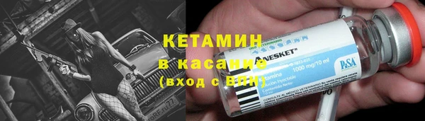 индика Карпинск