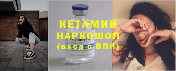 индика Карпинск
