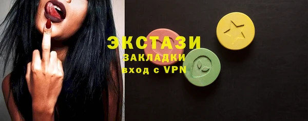 индика Карпинск