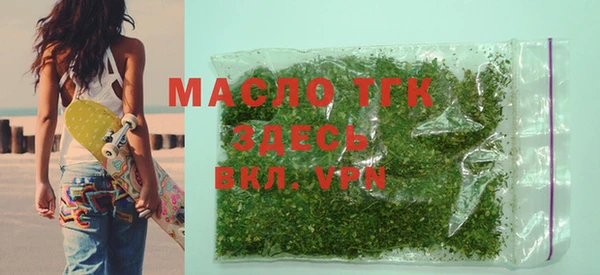 индика Карпинск