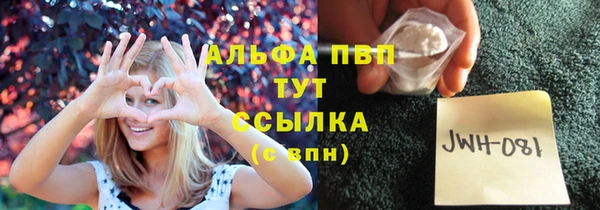 индика Карпинск