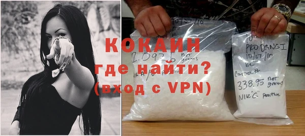 индика Карпинск