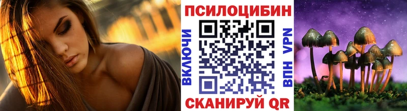 Псилоцибиновые грибы Psilocybe  Купить где  Куровское 